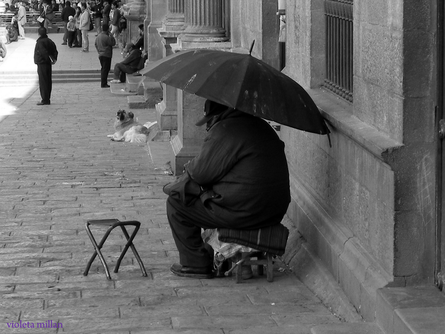 SOMBRILLA PARA RESGUARDO DE LAS PALOMAS