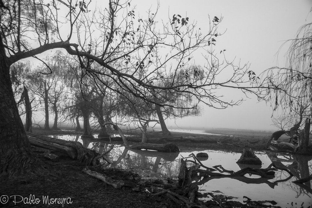 Sombrio - Litoral Argentino de la Serie Monocromatica