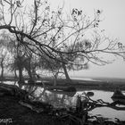 Sombrio - Litoral Argentino de la Serie Monocromatica