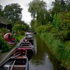 Some Boats !