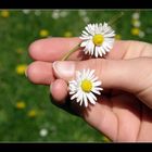 Some Flower`s in the Hand