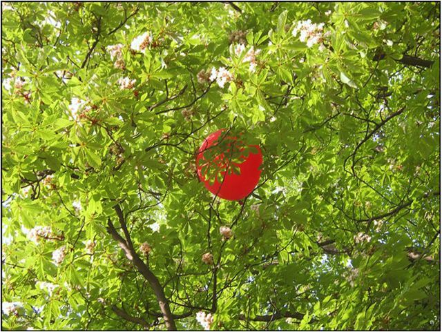 Some Hot Red in my Green Leaves