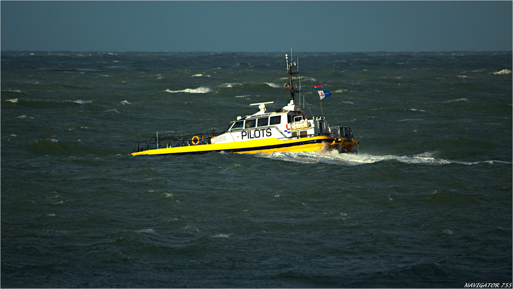 Some rough weather: / Rotterdam