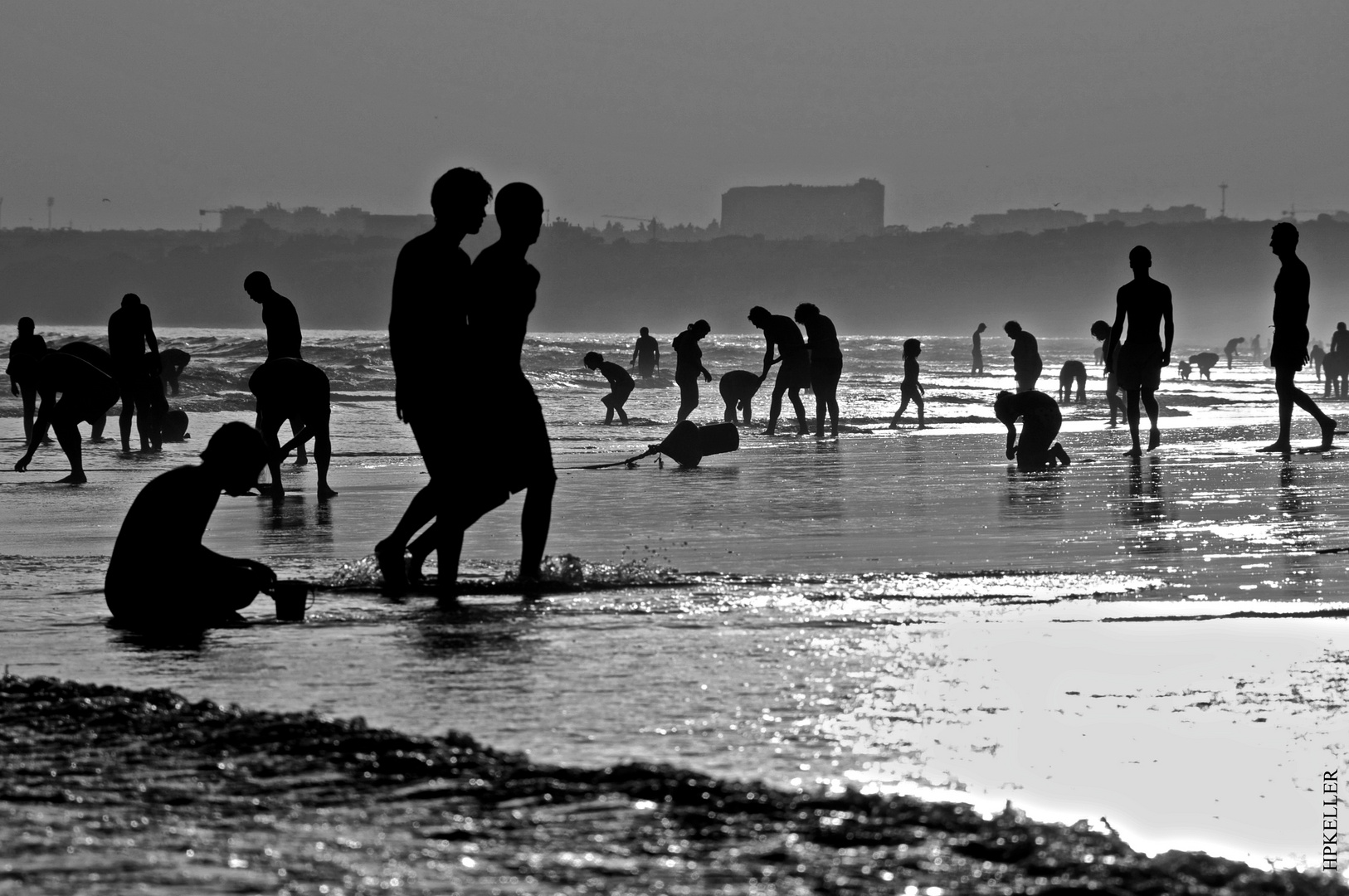 Some years ago, ...search for shells at low tide at Vilamoura (Algave)