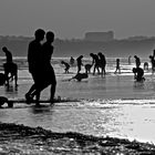 Some years ago, ...search for shells at low tide at Vilamoura (Algave)