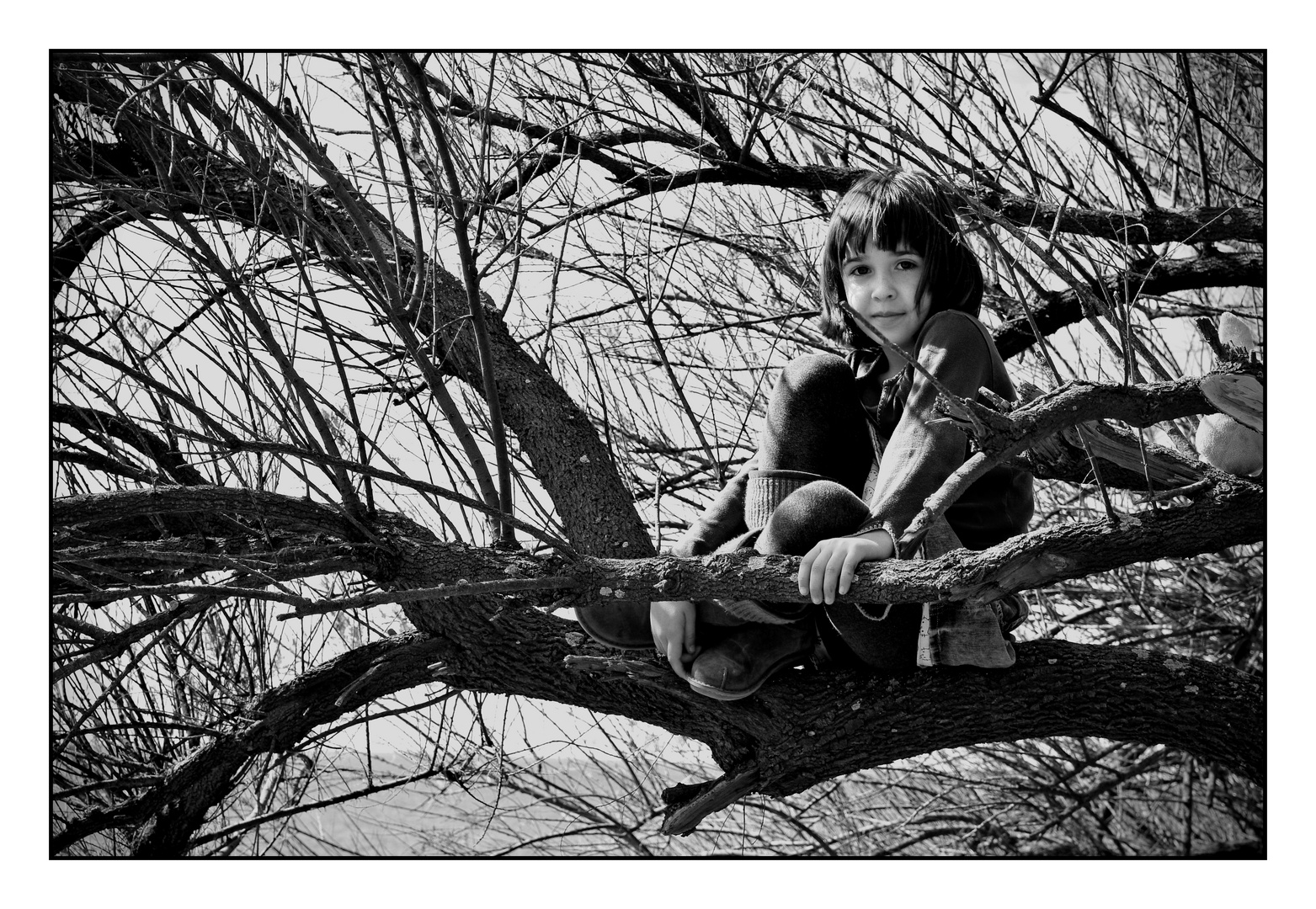 Somerset. 07. Girl in tree by the sea.