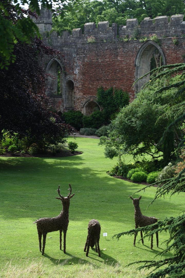 somerset, bishop's garden5, wells