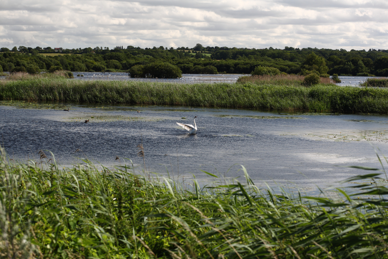 somerset levels 57