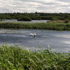 somerset levels 57