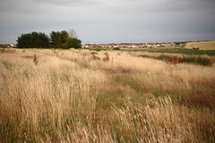 somerset levels26, anmarsch auf bridgwater...