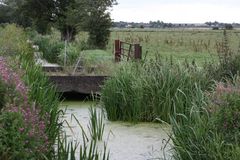 somerset levels30, irgendwo zwischen bridgwater und glastonbury