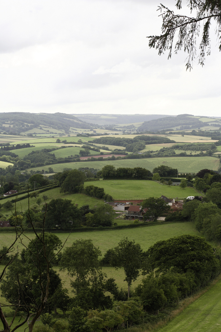 somerset levels39, blick von den quantock hills richtung triscombe