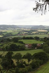 somerset levels39, blick von den quantock hills richtung triscombe