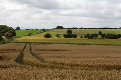 somerset levels57