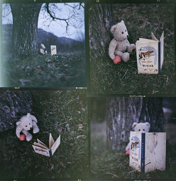 ~something like a Pooh story~