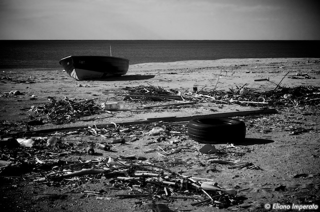 Something on the beach