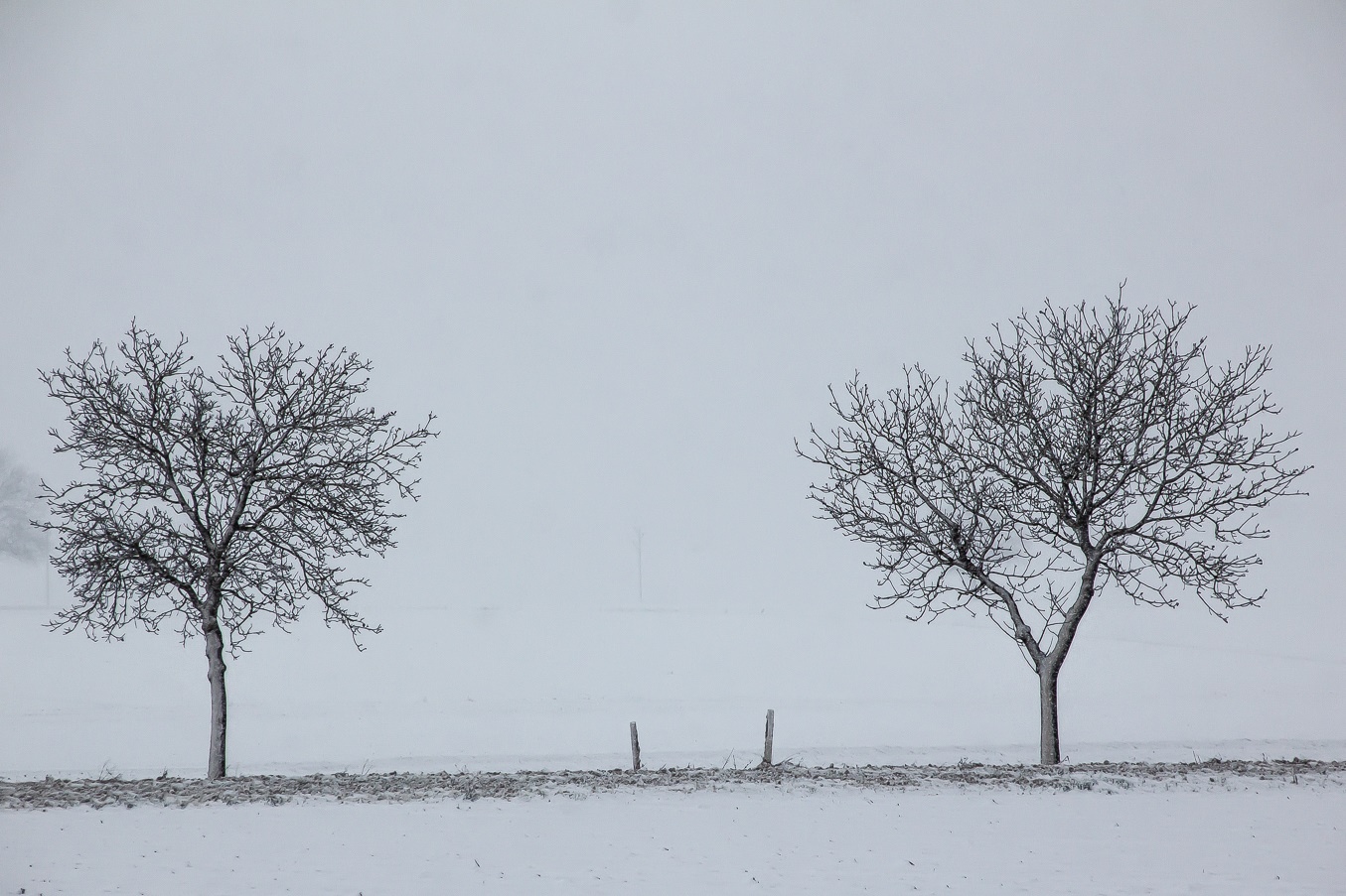 Sometimes In Winter Foto & Bild deutschland, europe, jahreszeiten