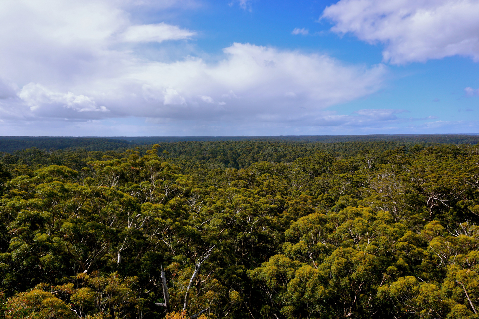 Sometimes you have to climb very high, to see how small you really are.