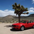 Somewhere between Death Valley and Las Vegas