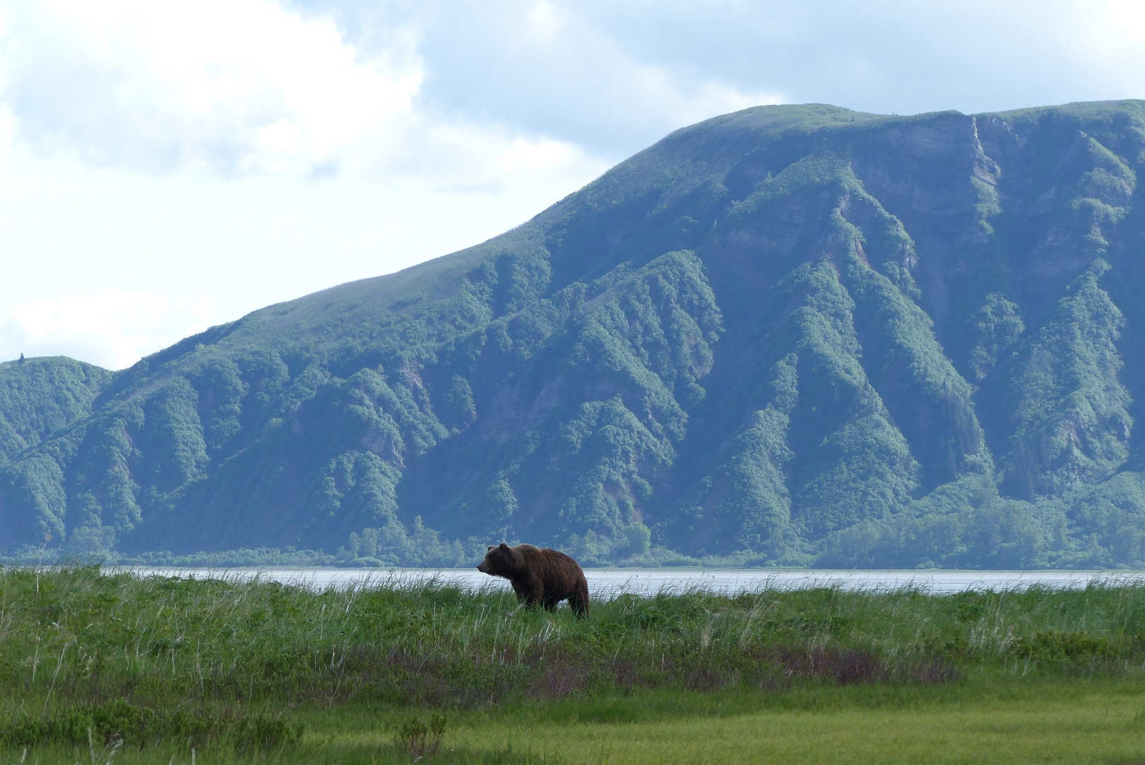 Somewhere in Alaska