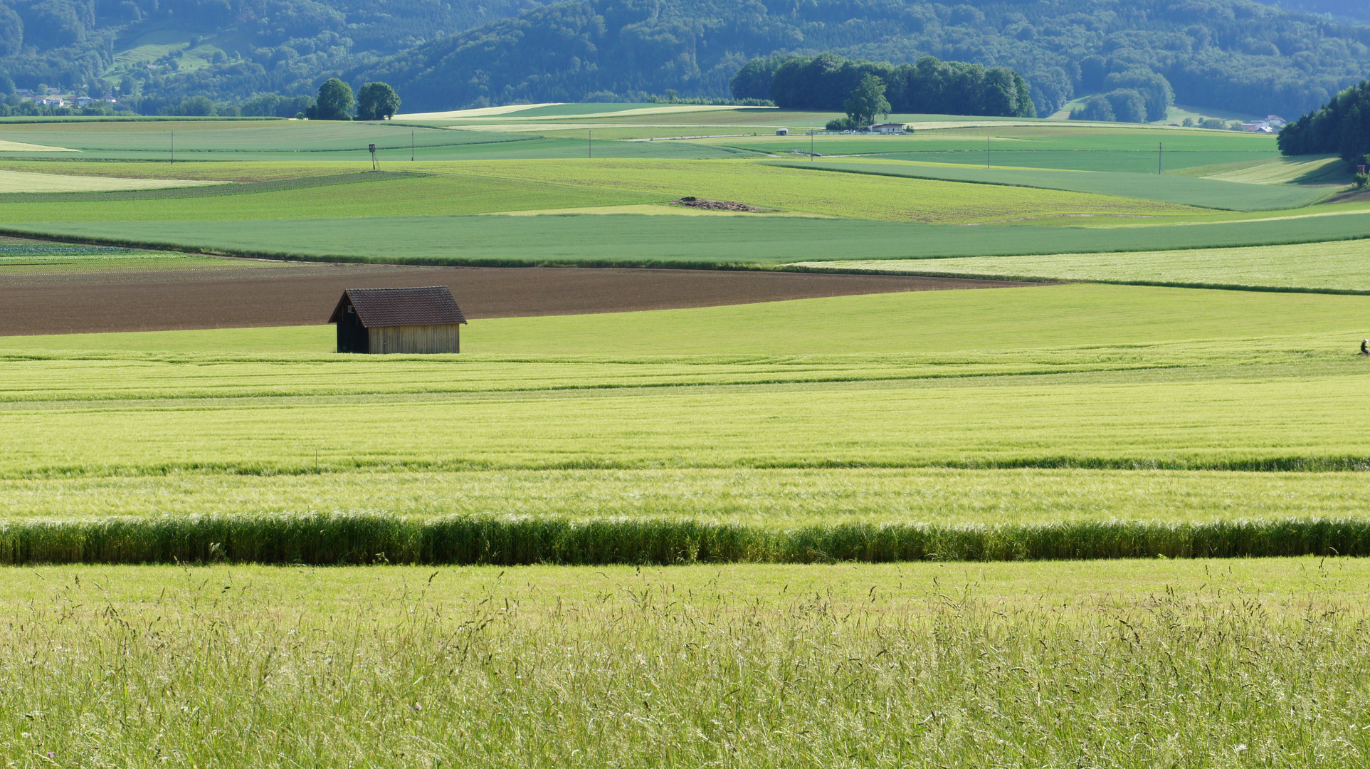 somewhere in Austria