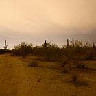 Somewhere in AZ desert- closed to Phoenix - midnight