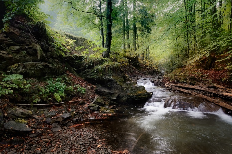 Somewhere in Beskid Mts
