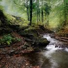 Somewhere in Beskid Mts