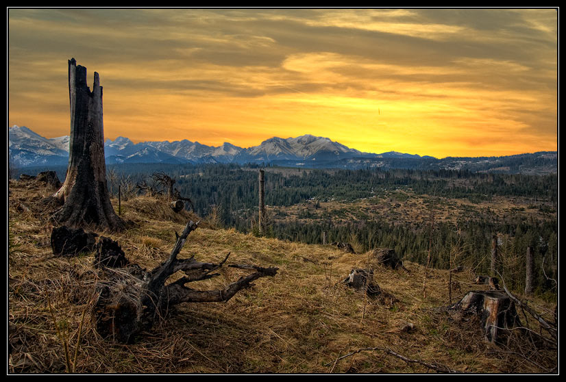 Somewhere in Hight Tatras