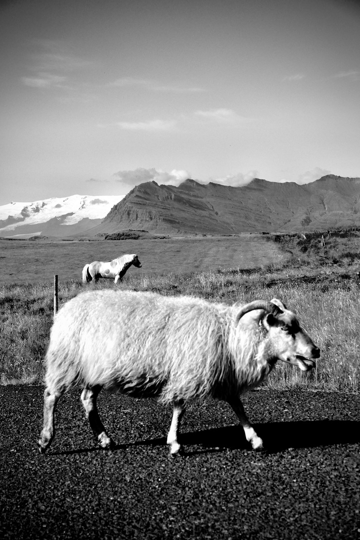 Somewhere in Iceland #6