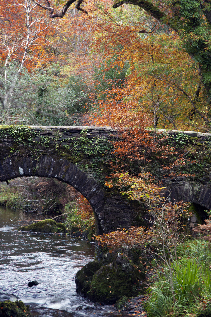 Somewhere in Ireland