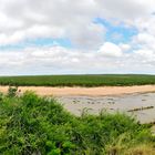 somewhere in Kruger Nationalpark - near Olifants Camp...