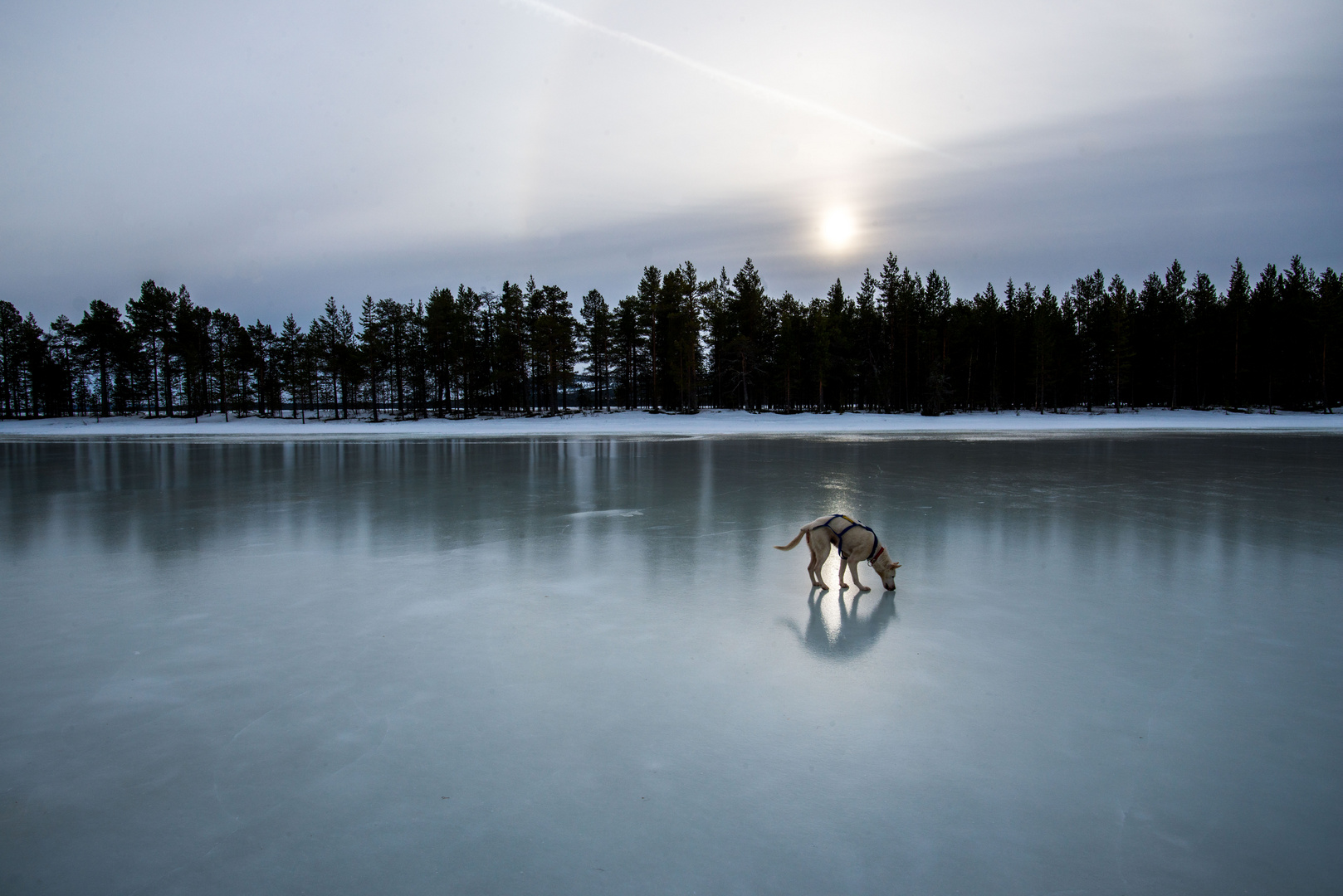 Somewhere in Lappland