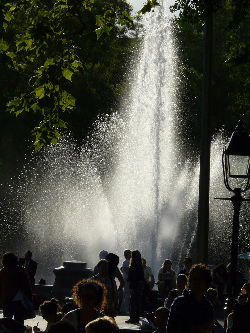 Somewhere in NYC (Südende der Park Avenue)