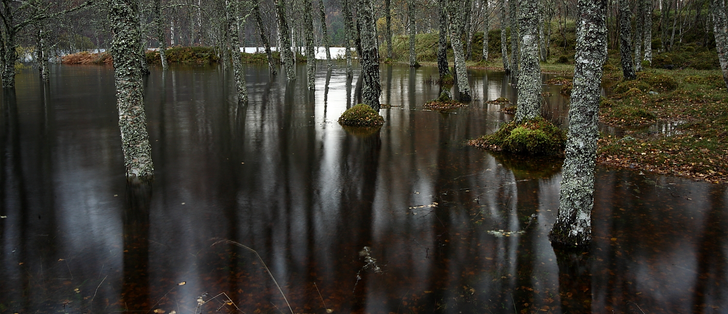 ... somewhere in Scotland ...