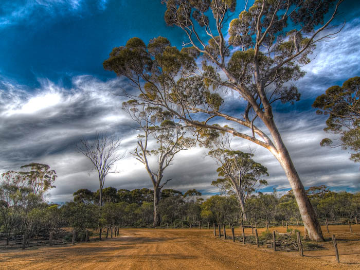 Somewhere in Southwestern Australia