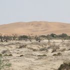 Somewhere in the Namib Desert