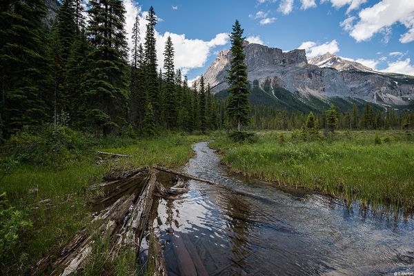 ...somewhere in the Rocky Mountains