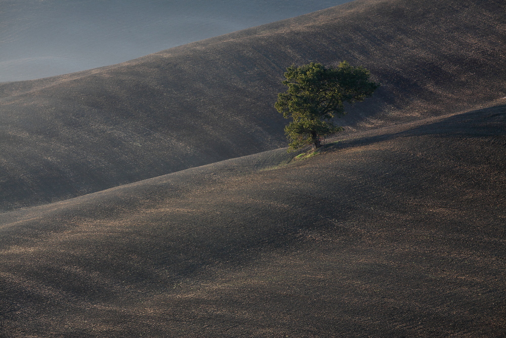 ... somewhere in Tuscany ...