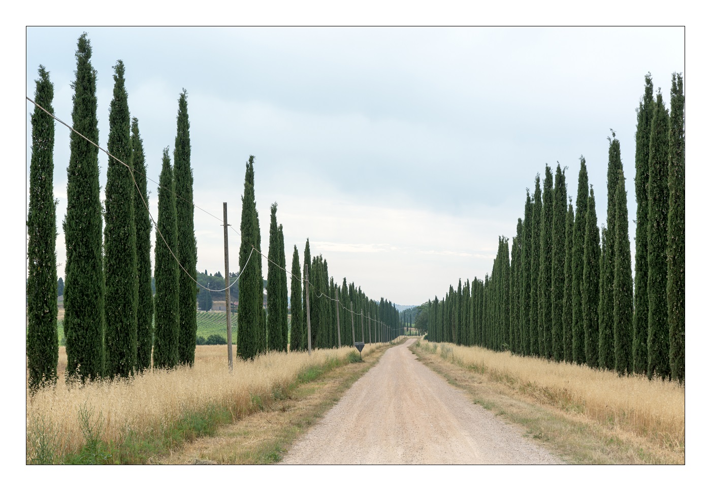 Somewhere in Tuscany