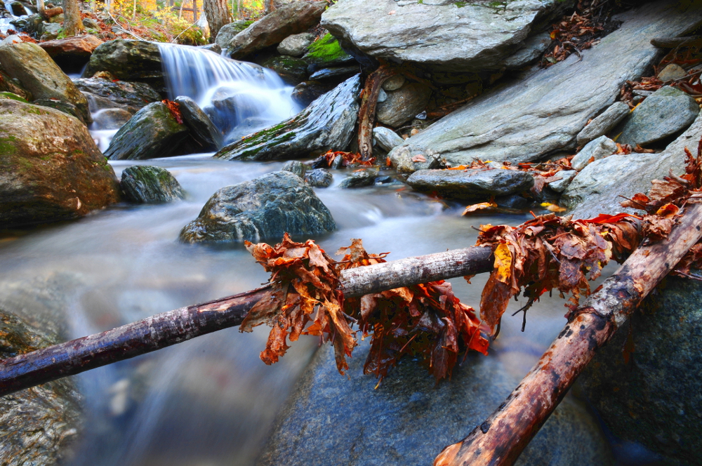 Somewhere in Vermont