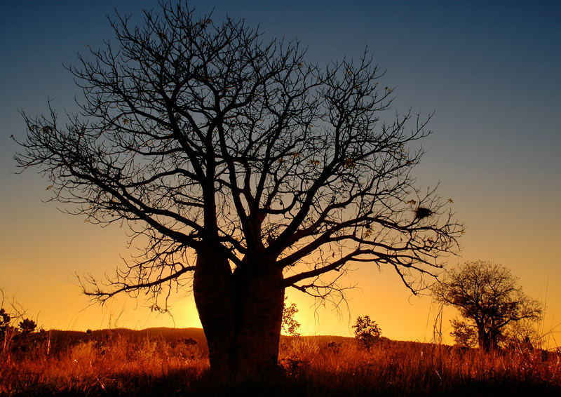 Somewhere In Western Australia