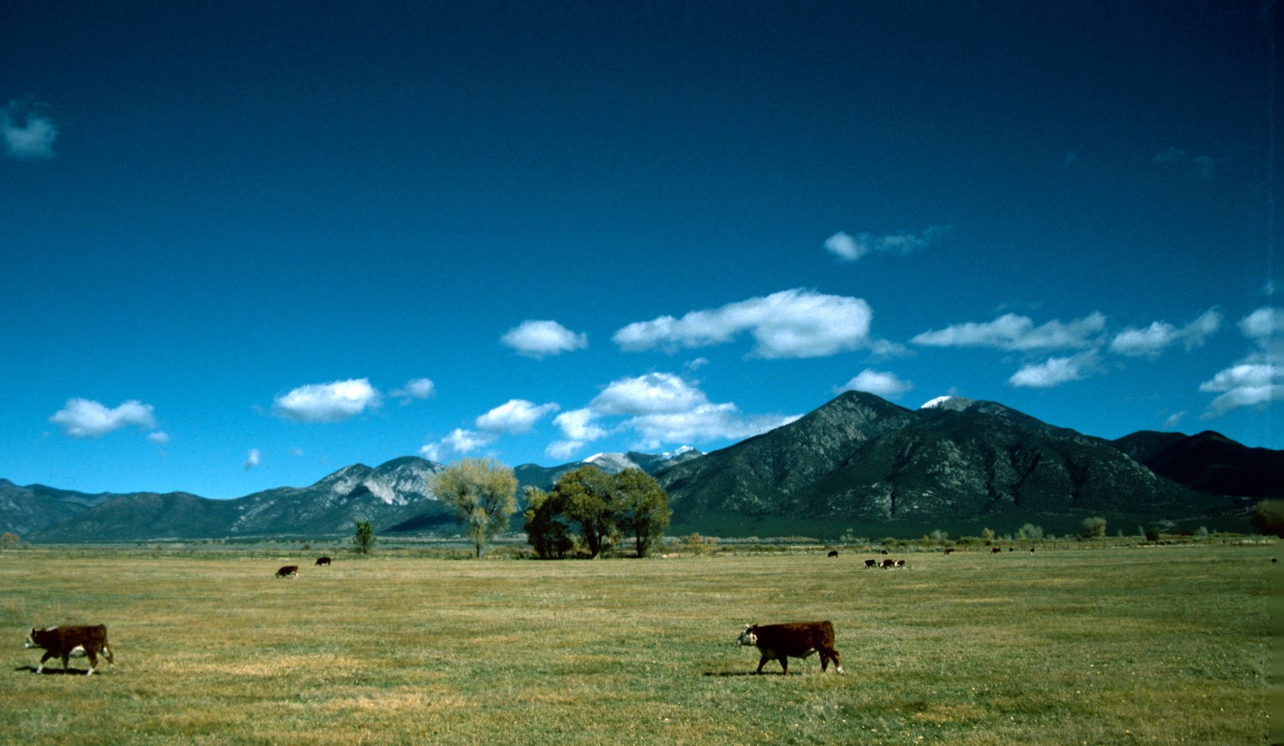 Somewhere near Chama, NM - 1989