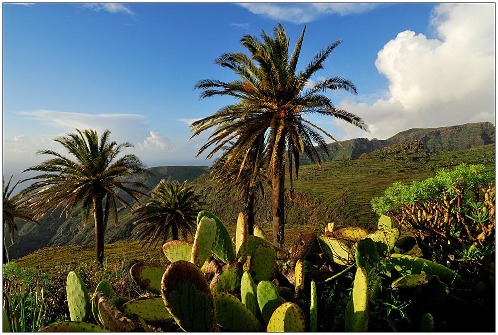 somewhere on LaGomera