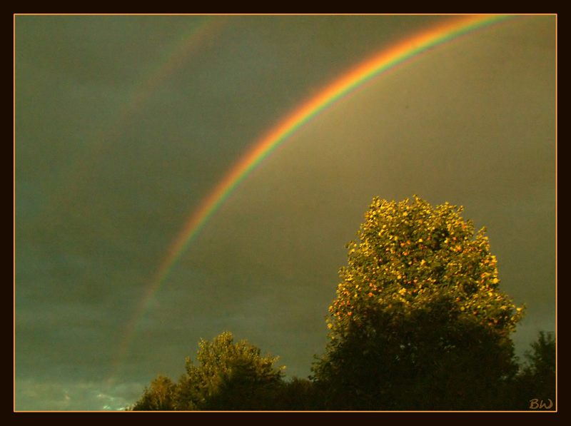 Somewhere over the rainbow von Bernhard Weichel