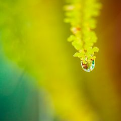 somewhere over the rainbow