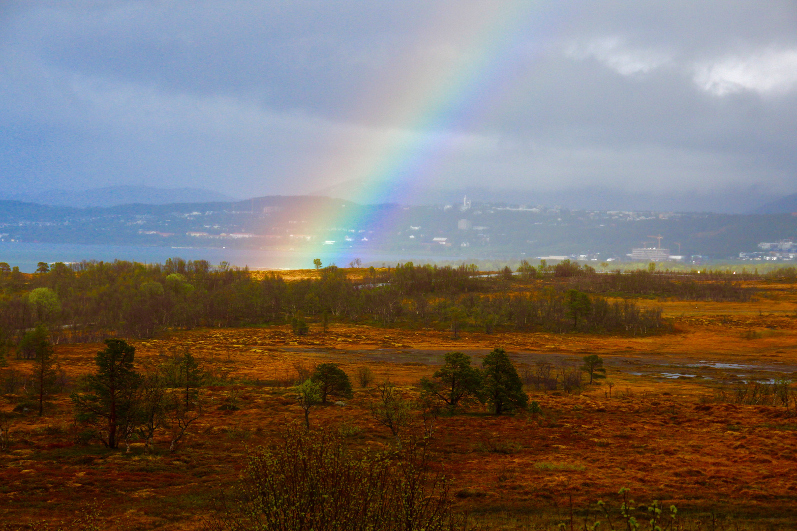 Somewhere Over the Rainbow