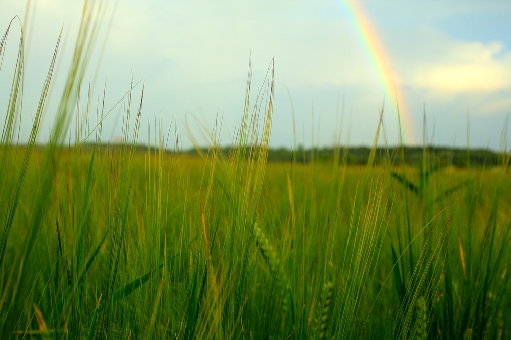 somewhere over the rainbow