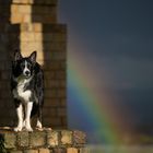 somewhere under the rainbow... :-)))