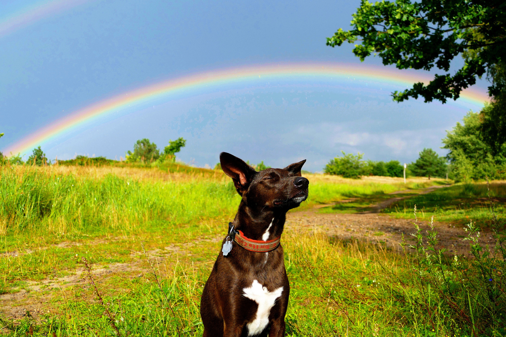 Somewhere under the Rainbow